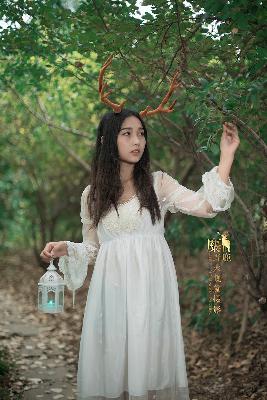 暴躁妹妹高清免费观看电视剧视频